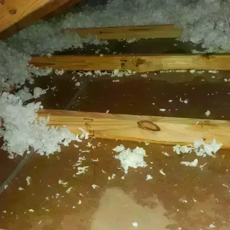 Attic Water Damage in Lufkin, TX